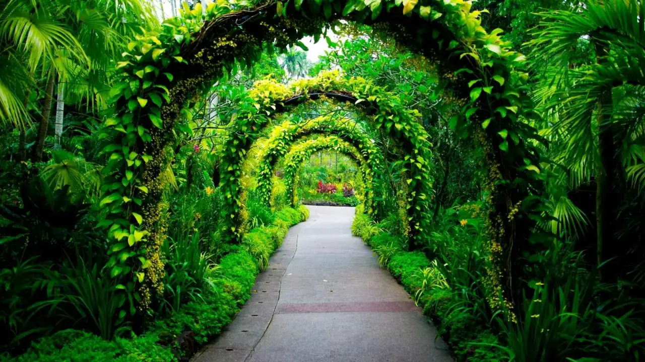 Serviços de jardinagem profissional
