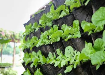 Jardins verticais e otimização de espaço
