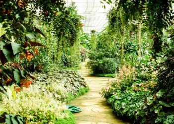 Design de jardins e paisagismo personalizado