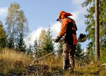 Limpeza de terrenos e prevenção de incêndios