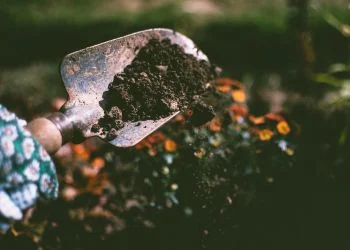 Jardinagem orgânica e mulching